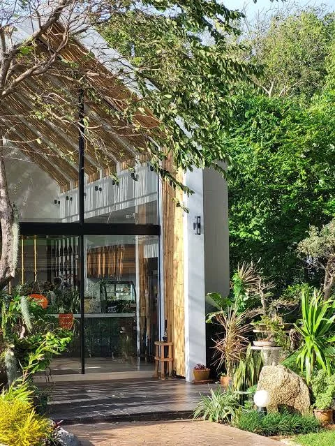 Cafe entrance with bamboo and tropical plants