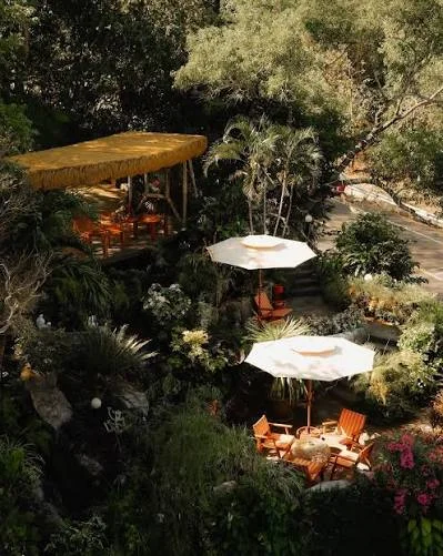 Tropical garden seating with umbrellas
